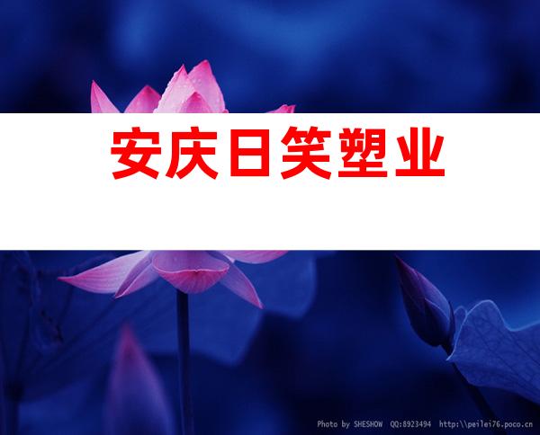 安庆日笑塑业